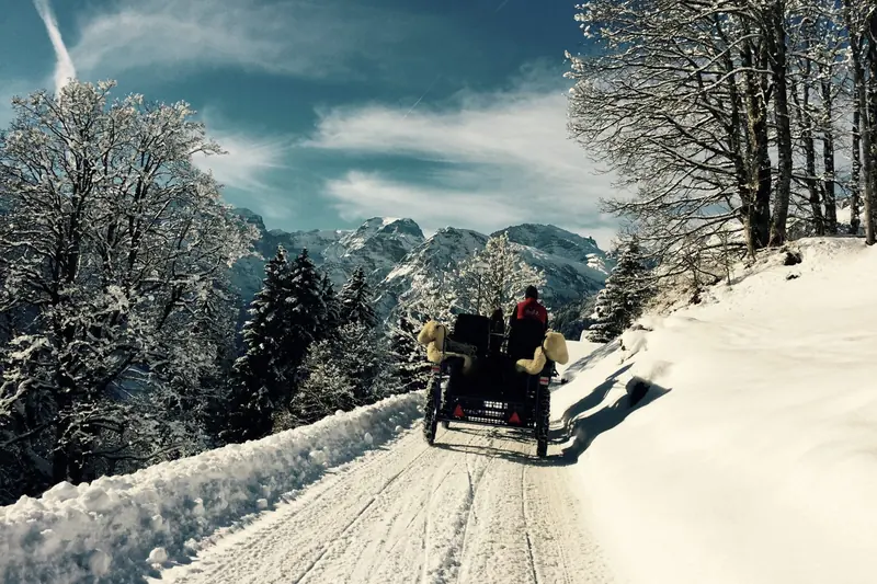 Paard en wagen op een besneeuwde weg tussen de bomen