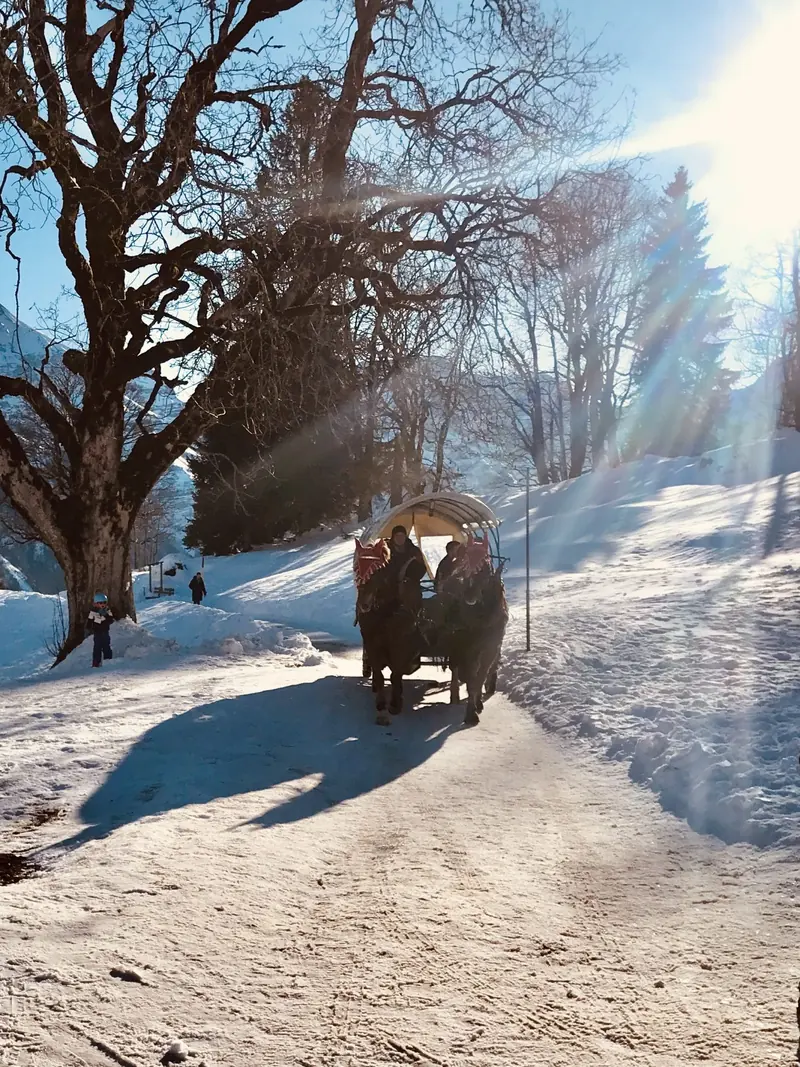 Paard en wagen in de zon op een besneeuwde weg