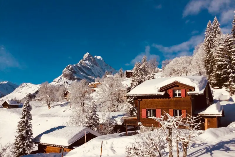 Het chalet tussen besneeuwde bomen, een bergtop erachter