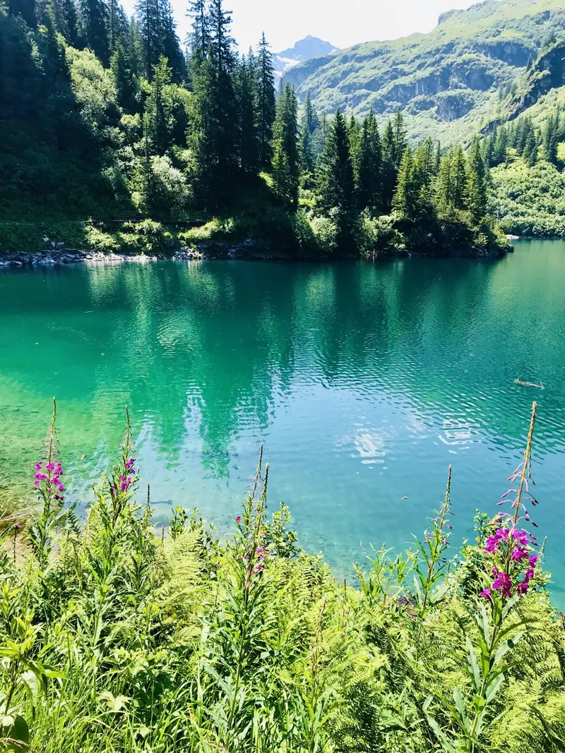 Groen bergmeer met roze wilgenroosjes aan de oever
