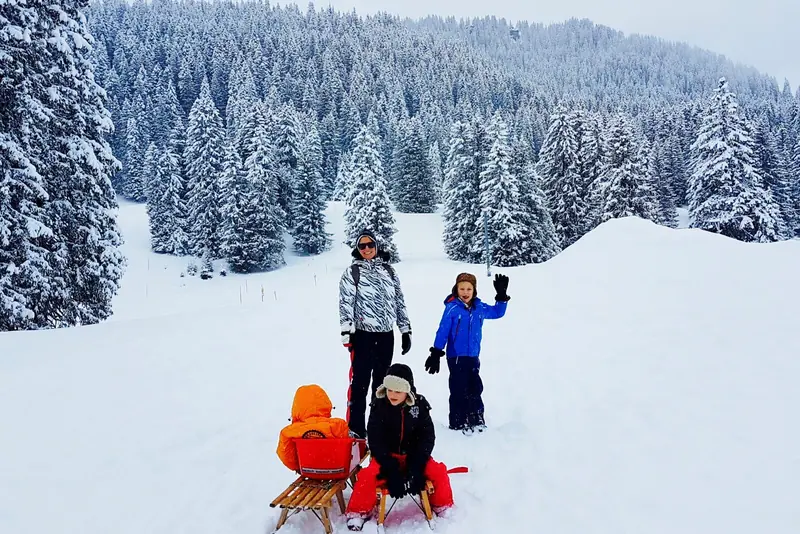 Sleeën tussen besneeuwde sparren