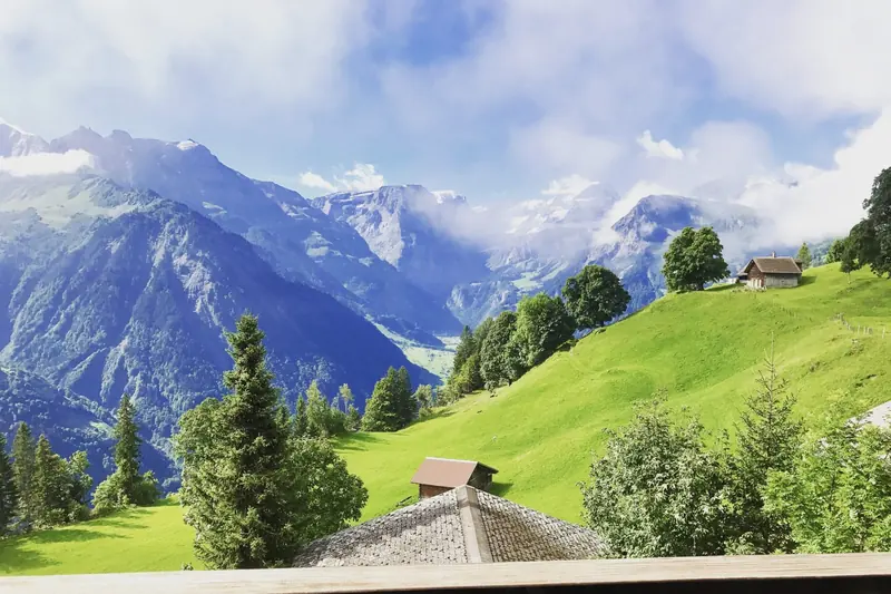 Zomer: een groene helling met sparren en een houten schuur, bergen in de wolken